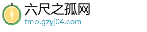 六尺之孤网